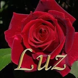 Meet your Posher, Luz santiago